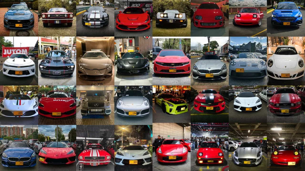Mspotterscars